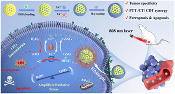 Graphical abstract: A multimodal therapeutic nano-prodrug as an oxidative stress amplifier induces apoptosis and ferroptosis for cancer therapy