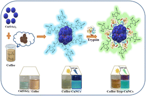 Graphical abstract: Microwave-assisted synthesis of green fluorescent copper nanoclusters: a novel approach for sensing of hydroxyl radicals and pyrophosphate ions via a “turn-off–on” mechanism