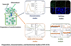 Graphical abstract: Preparation, characterization and biochemical studies of nanoformulations of chlorambucil to enhance anticancer efficacy