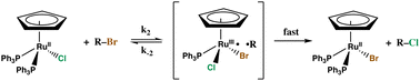 Graphical abstract: Kinetics and mechanism of halide exchange in reactions of CpRu(PPh3)2Cl with alkyl halides: evidence for radical pairs