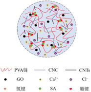 Graphical abstract: Preparation and performance analysis of CNC/GO/CNTs/PVA/SA-Ca2+ conductive hydrogels