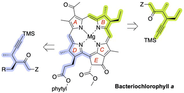 Graphical abstract: Synthesis of chiral hexynones for use as precursors to native photosynthetic hydroporphyrins