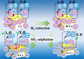 Graphical abstract: Effect of SO2 introduction into CeO2 on its surface acidity and redox property for the selective catalytic reduction of NO with NH3