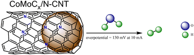 Graphical abstract: Co–MoCx supported on N-doped CNTs for efficient hydrogen evolution reaction under alkaline medium conditions