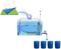 Graphical abstract: Enhanced ORR performance to electrochemical lignin valorization in a mixture of ionic liquid/organic solvent binary electrolytes