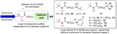 Graphical abstract: New cationic linear N-chloramines based on N-t-butylamide: chemical synthesis and antibacterial application
