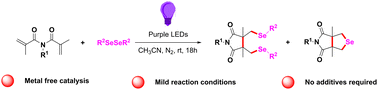 Graphical abstract: Visible-light-mediated selenylation/cyclization reactions of diselenide with acrylimide derivatives: synthesis of selenosubstituted pyrrolidine-2,5-diones