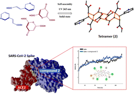 Graphical abstract: Hydrogen-bond-assisted topochemical synthesis of a multivalent zwitterionic tetramer via concomitant cross- and homo [2+2] photocycloadditions. Theoretical antiviral activity against SARS-CoV-2