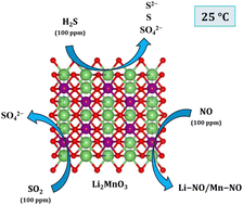 Graphical abstract: Probing room-temperature reactivity of H2S, SO2, and NO on the Li2MnO3 crystal surface by experimental and first-principles studies