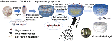 Graphical abstract: An oriented MXene/silk fibroin nanofiber hydrogel with high strength and strain response ability