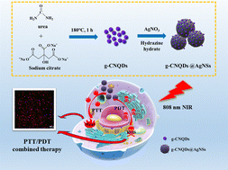 Graphical abstract: Multifunctional nanocomposites based on graphite-phase carbon nitride quantum dot-silver nanospheres for combined photothermal–photodynamic anti-tumor therapy