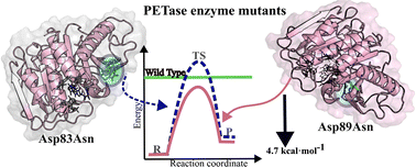 Graphical abstract: Rate-enhancing PETase mutations determined through DFT/MM molecular dynamics simulations
