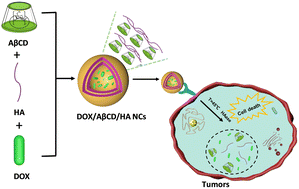 Graphical abstract: A temperature-sensitive HA-anchoring supramolecular nanocarrier for targeted delivery of the anti-liver cancer drug doxorubicin