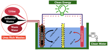 Graphical abstract: PtxAg100−x nano-alloy decorated N-doped reduced graphene oxide: a promising electrocatalyst for direct urea fuel cells