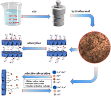 Graphical abstract: One-pot in situ construction of amido and hydroxyl co-modified layered double hydroxides for selective scandium adsorption