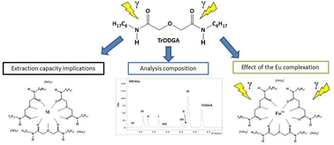 Graphical abstract: Radiolytic stability and effects on metal extraction of N,N,N′-trioctyldiglycolamide, an important TODGA degradation product