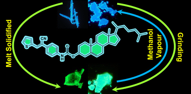 Graphical abstract: Cholesterol-appended cyanostyryl thiophene positional isomers with multistimuli responsive emission switching and liquid crystalline properties