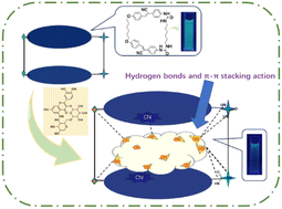 Graphical abstract: A fluorescent sensor for rutin hydrate based on a cyanostilbene macrocycle