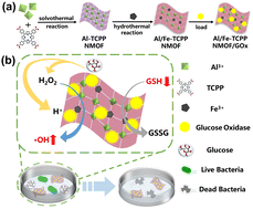 Graphical abstract: Effective antibacterial action of a 2D bimetallic Al/Fe-TCPP NMOF loaded with glucose oxidase by a cascade catalytic reaction and depleting glutathione simultaneously
