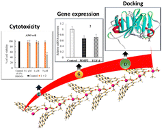 Graphical abstract: Synthesis, characterization, and anticancer potential of pyrene-appended Schiff base tin(iv) complexes: experimental and computational insights