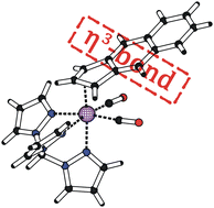 Graphical abstract: Benz[e]indenyl and benz[f]indenyl molybdenum compounds: evidence of the η3-coordination mode