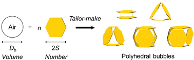 Graphical abstract: Shape design of aqueous bubbles stabilized with millimeter-sized polymer plates