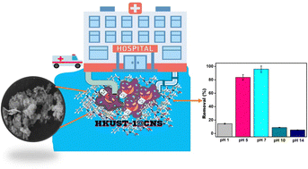 Graphical abstract: pH-dependent adsorption of the sulfamethoxazole antibiotic on HKUST-1@CNS nanocomposite corroborating efficiency, mechanistic, and kinetic studies