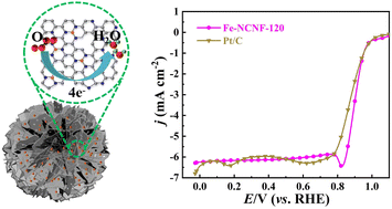 Graphical abstract: A gas diffusion strategy to engineer hierarchically porous Fe–N–C electrocatalysts for high-performance cathodes of Zn–air batteries