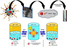 Graphical abstract: A pH switchable Pickering emulsion stabilised by controlled non-conventional lanthanum sulfide nanoparticles, in situ hydrophobized with a cationic surfactant