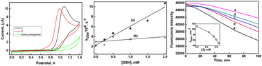 Graphical abstract: Reactivity of oxidants towards phenyl and benzyl substituted 5-selanylpentanoic acids: radiolytic and theoretical insights