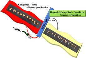 Graphical abstract: Micelle assisted synthesis of bismuth oxide nanoparticles for improved chemocatalytic degradation of toxic Congo red into non-toxic products