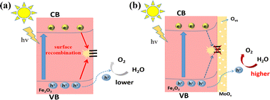 Graphical abstract: A highly efficient MoOx/Fe2O3 photoanode with rich vacancies for photoelectrochemical O2 evolution from water splitting
