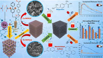 Graphical abstract: An easy approach towards once a day sustained release dosage form using microporous Cu-MOFs as drug delivery vehicles