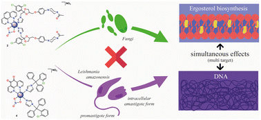 Graphical abstract: Synthesis, characterization, and biological evaluation of hybrid copper(ii) complexes containing azole drugs and planar ligands against neglected diseases