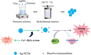 Graphical abstract: Ag and N-doped carbon dot-enhanced H2O2–Co2+ chemiluminescence and its application for the determination of Co2+ and hydroquinone
