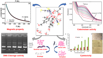 Graphical abstract: Weakly antiferromagnetic vanillin and acetate bridged dinuclear Ni(ii) compound exhibiting catecholase-like activity and biological properties