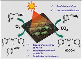 Graphical abstract: Sunlight induced efficient photocatalytic oxidation of benzylamines and CO2 reduction over a 2D–2D MoS2/FP-BTA heterojunction catalyst