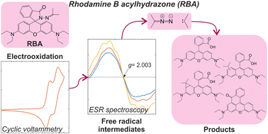 Graphical abstract: Non-aqueous electrochemistry of rhodamine B acylhydrazone