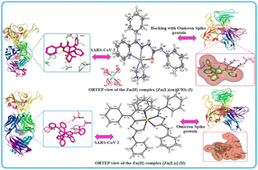 Graphical abstract: Synthesis of Zn(ii) coordination complexes, their molecular design and docking with SARS-CoV-2 RBD protein and Omicron spike protein