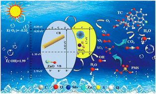 Graphical abstract: Highly efficient degradation of tetracycline by activated peroxymonosulfate over MoS2/ZnO heterostructure nanocomposites