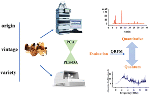 Graphical abstract: Overall control of the quality consistency of Citri Retriculatae Pericapium by combining HPLC fingerprint, terahertz time-domain spectroscopy and chemometrics