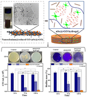 Graphical abstract: Antimicrobial hydrogels incorporating nanoselenium@reduced graphene oxide nanocomposites for biofilm inhibition