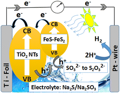 Graphical abstract: Efficient charge separation and transportation using 1D iron-sulfide@titania heterojunctions as photoanodes for improved interface stability and photoelectrochemical activity to produce hydrogen