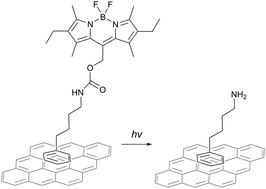 Graphical abstract: Non-covalent attachment of BODIPY-caged amines to graphene and their localized photocleavage