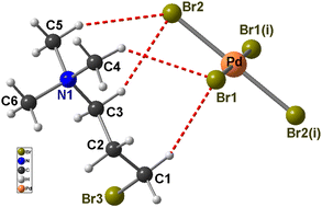 Graphical abstract: Bromination of organic spacer impacts on the structural arrangement, phase transitions, and optical and electrical properties of a hybrid halide compound:[(CH3)3N(CH2)3Br]2PdBr4