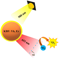 Graphical abstract: Methylene blue loaded K0.3Bi0.7F2.4:Yb,Er upconversion nanoparticles for near-infrared activated photodynamic therapy