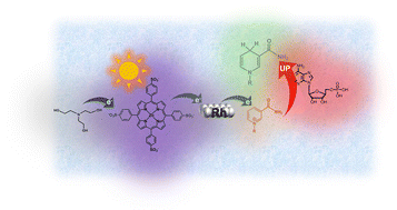 Graphical abstract: Effect of adenosine monophosphate on visible-light driven nicotinamide mononucleotide reduction in a system of water-soluble zinc porphyrin and colloidal rhodium nanoparticles