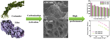 Graphical abstract: Two biomass material-derived self-doped (N/O) porous carbons from waste coriander and lilac with high specific surface areas and high capacitance for supercapacitors