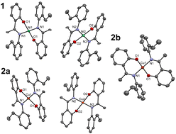 Graphical abstract: Polymorphism, mesomorphism and anti-oxidant character of homoleptic bis[(E)-2-(1-((o-ethylphenyl)imino)ethyl)phenolato-κ2-N,O]Ni/Cu(ii) complexes