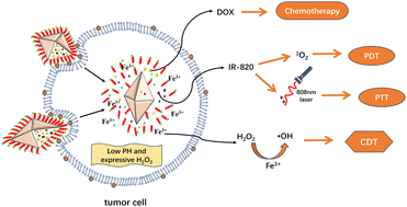 Graphical abstract: Metal–organic framework-based pH/NIR dual-responsive nanoparticles for combined photothermal/photodynamic therapy and chemotherapy of cancer